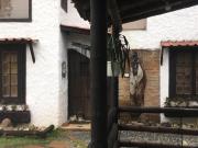Casa Campestre Venta Bosques De Termales Santa Rosa De Cabal