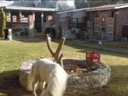 CASA CAMPO CON HUERTO EN JOFRE QUERÉTARO VC57