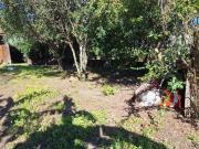 Casa, Centro, Santa Vitória do Palmar, RS