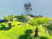 Casa cerrada amplia 4 recamaras 4 garages jardin roof...