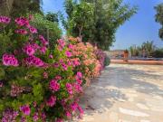 Casa chalet en Venta en Albatera