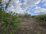 Casa Chalet en Venta en Alborache Valencia