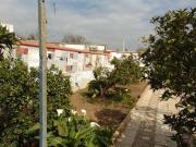 Casa chalet en Venta en Alcolea del Río