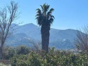 Casa chalet en Venta en Algezares