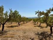 Casa chalet en Venta en Alhama de Granada