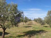 Casa chalet en Venta en Aliseda