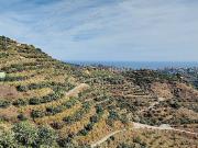 Casa chalet en Venta en Almuñecar Centro