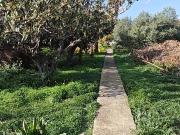 Casa chalet en Venta en Altea la Vella