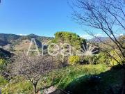 Casa chalet en Venta en Arenys de Munt
