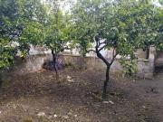 Casa chalet en Venta en Arroyo de la Luz