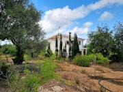 Casa chalet en Venta en Avinguda Catalunya