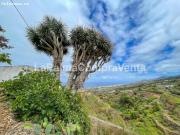 Casa Chalet en Venta en Barlovento Santa Cruz de Tenerife