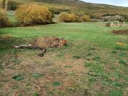Casa chalet en Venta en Barruelo de Santullán