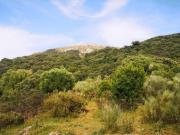 Casa chalet en Venta en Benadalid