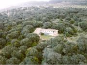 Casa Chalet en Venta en Benalauria Málaga