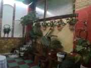 Casa chalet en Venta en Bujalance