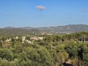 Casa chalet en Venta en Calvià pueblo