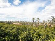 Casa chalet en Venta en Carcaixent