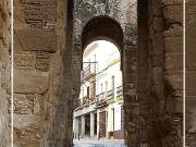 Casa chalet en Venta en Carmona