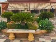 Casa chalet en Venta en Carrús Oeste