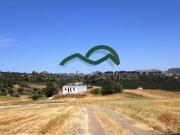 Casa chalet en Venta en Casco Histórico