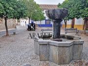 Casa chalet en Venta en Casco Histórico Ribera San Basilio