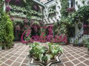 Casa chalet en Venta en Casco Histórico Ribera San Basilio