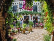 Casa chalet en Venta en Casco Histórico Ribera San Basilio