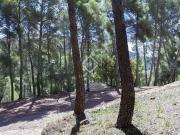 Casa chalet en Venta en Casco Urbano