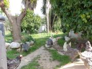 Casa chalet en Venta en Bellvei