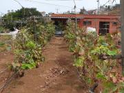 Casa chalet en Venta en Centro