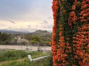 Casa chalet en Venta en Centro