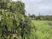 Casa chalet en Venta en Centro