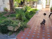 Casa chalet en Venta en Centro