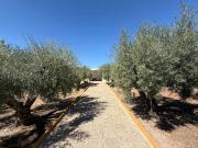 Casa chalet en Venta en Jubalcoi