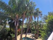 Casa chalet en Venta en Cuatro Pinos El Carmen