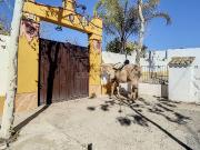 Casa chalet en Venta en Cuevas de San Marcos