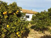 Casa chalet en Venta en El Higuerón