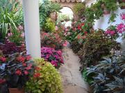 Casa chalet en Venta en El Rosario Ricmar Casa chalet en Venta en El Rosario Ricmar