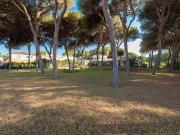 Casa chalet en Venta en El Rosario Ricmar