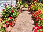 Casa chalet en Venta en Els Terrers