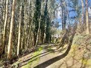 Casa chalet en Venta en Hazas de Cesto