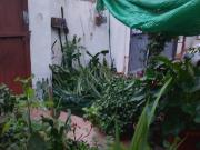 Casa chalet en Venta en La Coquina