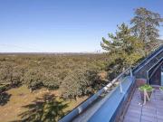 Casa chalet en Venta en La Florida El Plantío