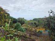 Casa chalet en Venta en La Perdoma San Antonio Benijos