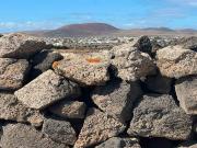 Casa chalet en Venta en Lajares