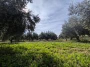 Casa chalet en Venta en Las Cánovas Cuevas de Reyllo