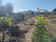 Casa chalet en Venta en Las Lagunas Campano