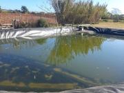 Casa chalet en Venta en Lepe