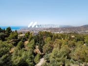 Casa chalet en Venta en Limonar Casa chalet en Venta en Limonar